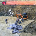20081120_ccn_sentjur_006