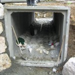 20090327_ccn_sentjur_cesta_3