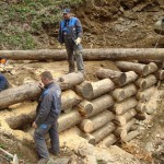 PREGRADA LIPOVNIK 002